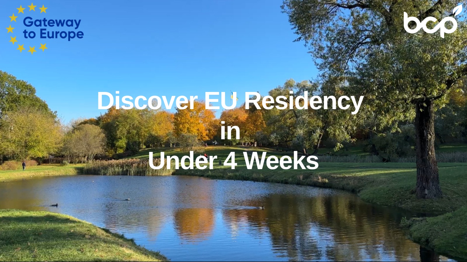 Client Testimonials Compilation